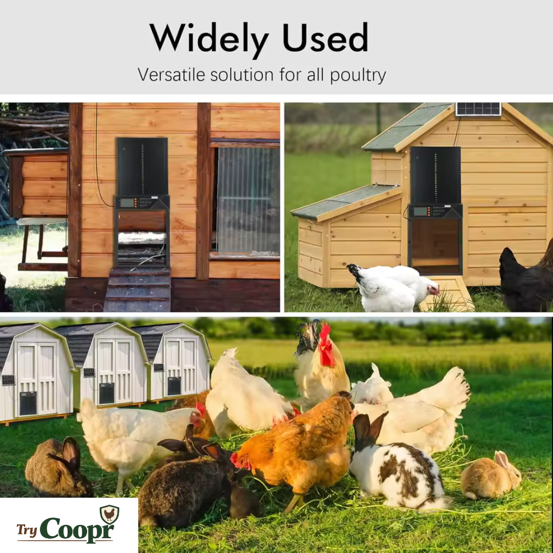 Coopr™ - Automatic Chicken Coop Door (Solar Powered)